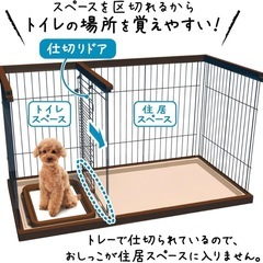 ドックルームサークルの画像