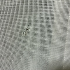 カーテンの画像