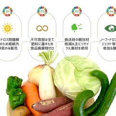 フードロス・熊本産地産地消・売り物にならない野菜の画像