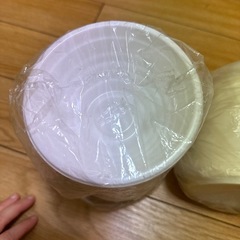 決まりました。使い捨て　お椀80〜90枚くらいの画像