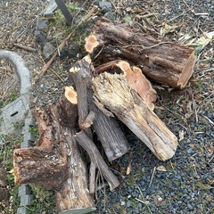 木、木材の画像