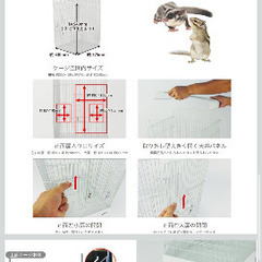 イージーホーム ゲージの画像