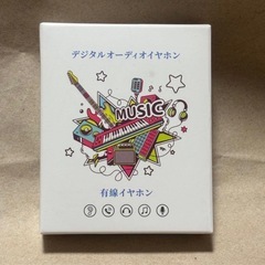 ⭐️HIFI高音質⭐️有線イヤホン／Type-C／高品質／カナル型／絡みにくい⭐️新品未開封の画像