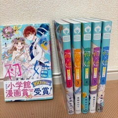 初×婚 1~6巻の画像
