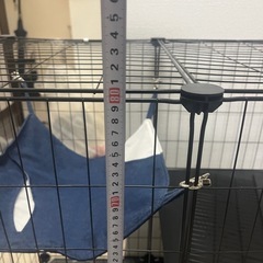 ケージ　　ゲージの画像