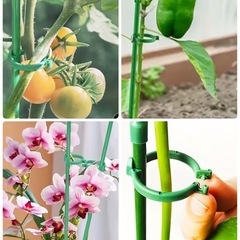 園芸　ロングプランター 家庭菜園セットの画像