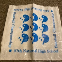 新品 ソフトボール 日本代表 タオル 高校野球の画像