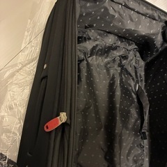 キャリーバックの画像