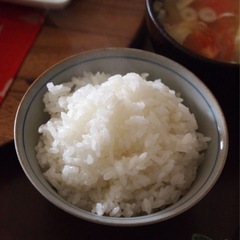 今季夏からR7年度産お米🌾販売予約可能！の画像