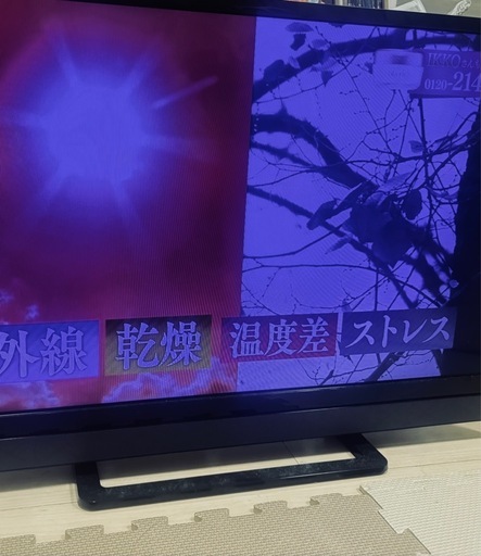 東芝 REGZA 32型液晶テレビ 32S21
