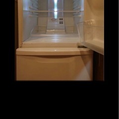 冷蔵庫Panasonic の画像