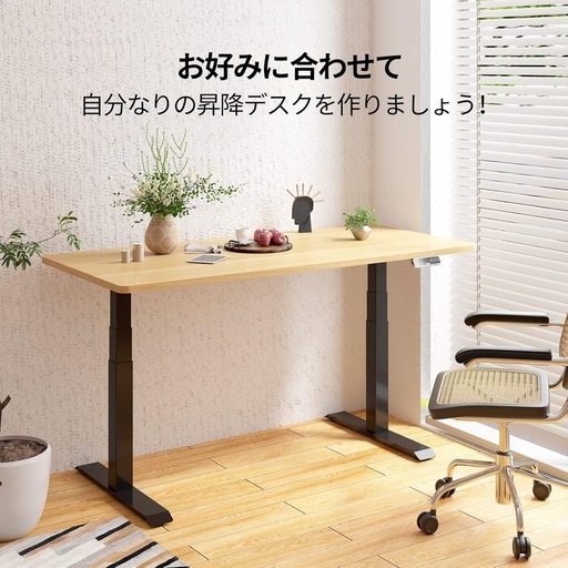 FLEXISPOT フレキシスポット E3B-JA 電動昇降デスク スタンディングデスク