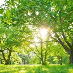 ゆるっと朝活ウォーキング🌿