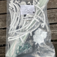 オベリスクの画像