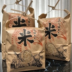 【精米無料】①農家直✨玄米コシヒカリ３kgの画像