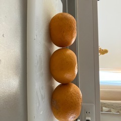 いよかん？の画像