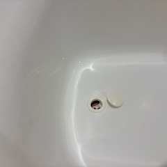 沐浴用のシンク型ベビーバスの画像