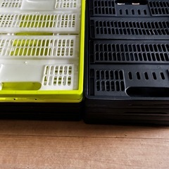◎お渡し完了◎もらってください 折りたたみコンテナ 訳あり まとめて８個の画像
