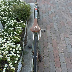 クロスバイクの画像