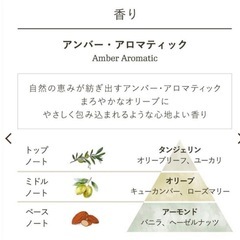 SABON ウェルカムキット オリーブ・ブリス　３点セット　新品未使用の画像