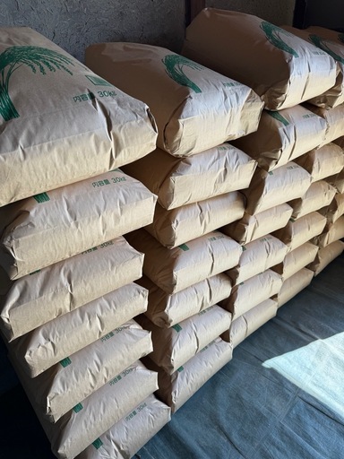 R７年度産　　きぬむすめ　30キロ　玄米