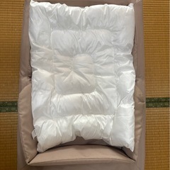 ベットインベットの画像