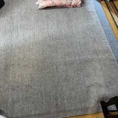 ホットカーペット➕じゅうたんの画像