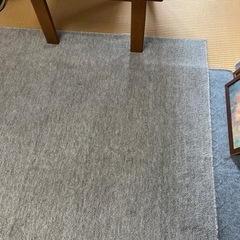 ホットカーペット➕じゅうたんの画像