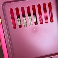 ⚠️USED品⚠️【リッチェル 折りたたみキャンピングキャリーM】の画像