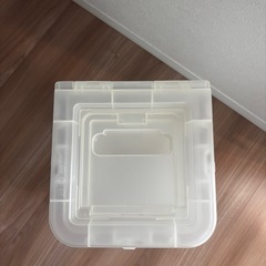 キャリコクリア　2個セット の画像