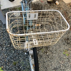 子供　自転車の画像