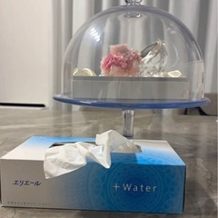 ガラスの靴　置き物　飾り
の画像