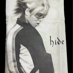 hide TシャツＳサイズの画像