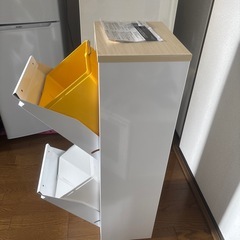 スチール製　分別ダストボックスゴミ箱/YY-WSB/ 筑波産商の画像