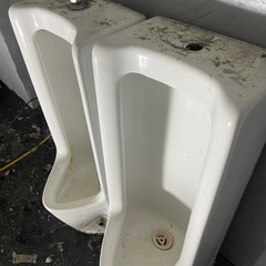 小便器❗️の画像