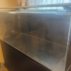 水槽、ライト、外部フィルター、ヒーターセットの画像