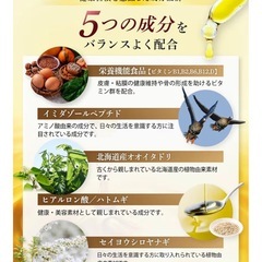 グルコサミン サプリ 膝 関節ケア コンドロイチン プロテオグリカン 膝サポート成分配合 非変性Ⅱ型コラーゲン 30日分の画像