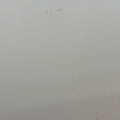 【ドリーム川西店限定】☆ジモティー見たよ♪割引☆YAMADA 6.0kg YWM-T60H1 2023年製 洗濯機【99560000058795】の画像