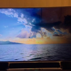TOSHIBA REGZA 4K液晶テレビ Z10X 58インチ　画面不良の画像