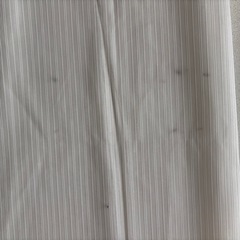 ニトリ　レースカーテン2枚セットの画像