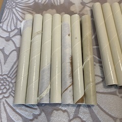 白いわんぱくジムの画像