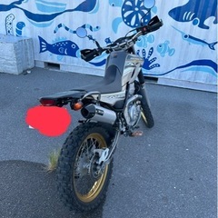 セロー250　の画像