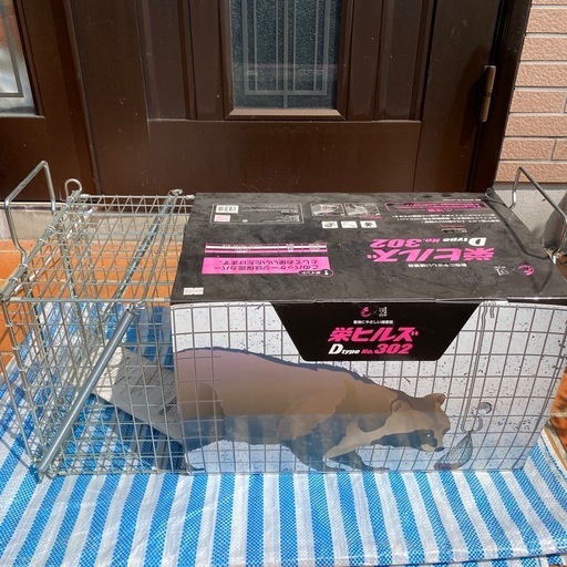 未使用品 栄ヒルズ 動物に優しい捕獲器
