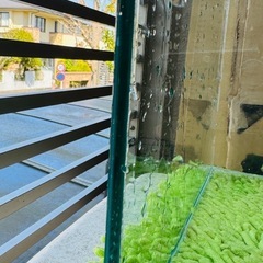 水槽 コトブキ KOTOBUKIレグラスハイクリアHC-6025の画像