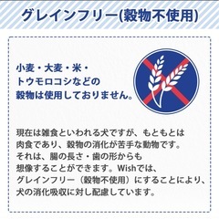 ウィッシュ　サーモン　18.1kgの画像