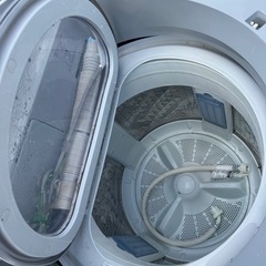 12kg洗濯機2018式の画像