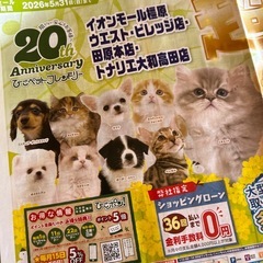 ひごペット 割引券 5/31までの画像