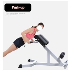 ローマンチェア バックエクステンション 背筋マシーンの画像