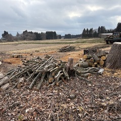 一旦停止中　薪　原木(コナラ・桜・くるみ・他雑木)の画像