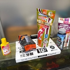 錦鯉３匹、金魚１匹、水槽、用品セットの画像